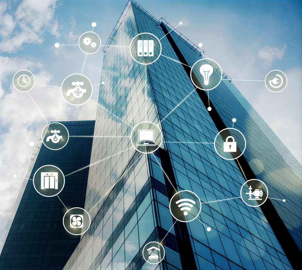 whatsapp image 2026 02 17 at 1.11.31 pm